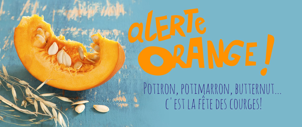 Potimarron Potiron Butternut Feculents Ou Legumes Des Idees De Recettes Claire Marzin Dieteticienne Nutritionniste